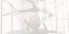 Pilates Reformer vs. Cadillac: Which is Right for You?